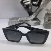 عینک  Dior|زیورآلات و اکسسوری|میناب, |دیوار