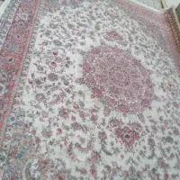 شهر فرش دست دوم نیشابور|فرش|نیشابور, کوی فرهنگیان|دیوار