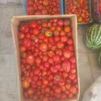 گوجه محلی انار شیرین روستا دوغ محلی و تخم مرغ محلی
