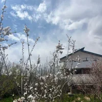 کوهپایه-معاوضع-با-باغ-خرما-بم