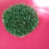 سلام بافت انواع ظرفشور اسکاج|لوازم نظافت|کرمانشاه, |دیوار