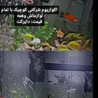 اکواریوم شرکتی شیشه خم با تمامی لوازم