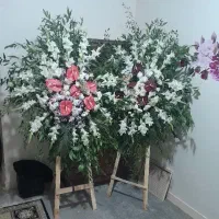 گل بزرگ مراسمی|گل و گیاه طبیعی|اهواز, کمپلو شمالی|دیوار
