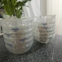 کاسه و پیاله  کریستال فرانسه