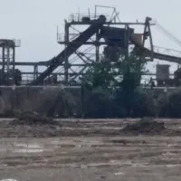 چغندر قند ریز شکسته بهترین وارزان ترین خوراک