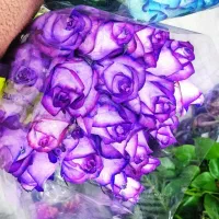 رز عمده از ۱/۳۰۰ تا ۲/۰۰۰