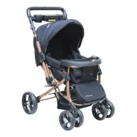 کالسکه دلیجان بنیتا نو نو