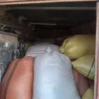 کاه نارد آبی