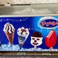 یخچال بستی دومینو