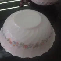 ارکوپال ابگوشت خوری