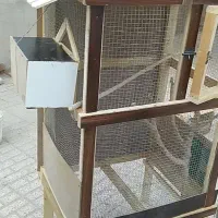 قفس .گنجه . لانه|لوازم جانبی حیوانات|سراوان, |دیوار