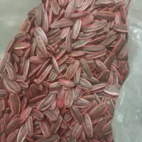 بذر تی ۵ اس ۴۰۰|گل و گیاه طبیعی|خوی, |دیوار