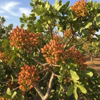 ورود به کسبوکار تولید ثروت