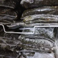 سبزی خورشتی و بامیه وترشیجات