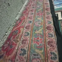 فرش دست بافت 12 متری|فرش|قزوین, |دیوار