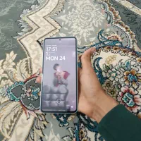 شیائمی نوت 13 معمولی