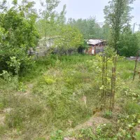 زمین با جواز ساخت|فروش زمین و ملک کلنگی|نشتارود, |دیوار