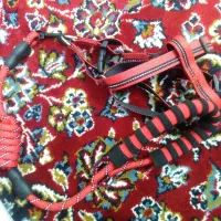 سگها شیتزو بسیار زیبا جنسیت نر