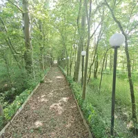 فروش آپارتمان شهرک پزشکان آمارو ..دهکده گیل کاپو|فروش آپارتمان|رشت, لاکان شهر|دیوار