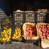 سیب قرمز استخوانی و نارنگی شیرین|خوردنی و آشامیدنی|جوانرود, |دیوار