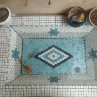 حوض  و ماهی کوی