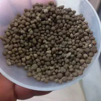 کود|عمده‌فروشی|اهواز, کیان اباد|دیوار