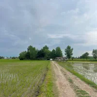 زمین کشاورزی سنتی/۴۵۰۰m/املاک پارسه