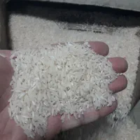 فروش برنج هاشمی ۳۵۵ تومن مقطوع به وزن ۵۰ ک