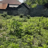 فروش ویژه ی زمین سند دار در سوادکوه شهر زیراب|فروش زمین و ملک کلنگی|زیرآب, |دیوار