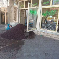 پخش کشمش باغ حمید تاکستان|خوردنی و آشامیدنی|تاکستان, |دیوار
