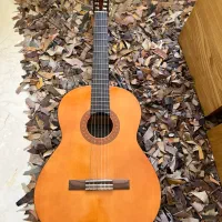 گیتار یاماها c40 اصلی اندونزی|گیتار، بیس، امپلیفایر|تهران, زعفرانیه|دیوار