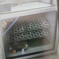 دستگاه جوجه کشی