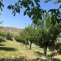باغ اجاره  ویلا باغ|اجارهٔ کوتاه‌مدت ویلا و باغ|یاسوج, |دیوار