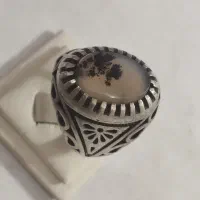 شجر|کلکسیون اشیاء عتیقه|قزوین, |دیوار