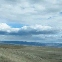 سیم کارت کد 8 معاوضه