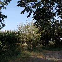 باغ در محمدشهر زیبادشت|فروش زمین و ملک کلنگی|محمدشهر, زیبادشت|دیوار