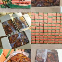 فروش خرما شاهانی درجه یک