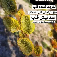 بیدمشک تازه ماهان درب باغ و ارسال ب کرمان