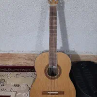 گیتار و کیف مخصوص گیتار|گیتار، بیس، امپلیفایر|بردسکن, |دیوار