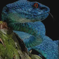 آموزش نقاشی|خدمات آموزشی|قم, حاج زینل|دیوار