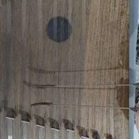 آموزش سنتور برای بانوان