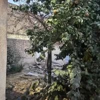 فروش فوری زمین ملکی نزدیک مرکز شهر|فروش زمین و ملک کلنگی|تربتحیدریه, بی بی حسنیه|دیوار