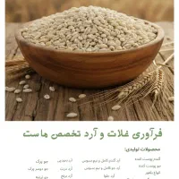 گندم حلیمی
