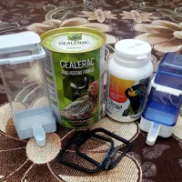 وسایل پرنده قفس طوطی  سرلاک خوب با هم