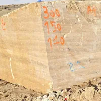 استخدام فروشنده خانم