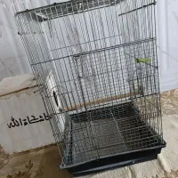 قفس|لوازم جانبی حیوانات|ایرانشهر, |دیوار