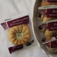 استخدام ویزیتور