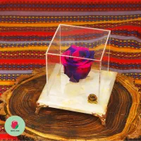 باکس گل رز جاودان طبیعی پایه سنگی برای هدیه تولد|گل و گیاه طبیعی|تهران, دولاب|دیوار