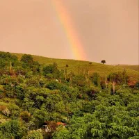 ۶۰۰ متر باغچه راحت آباد (باملواسان) قطعه بندی شده|فروش زمین و ملک کلنگی|لواسان, |دیوار