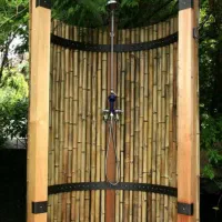 نی نیزار (بامبو)